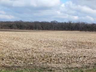 Property photo 17 - MAJOR LAND AUCTION - 313+/- ACRES OFFERED IN 7 TRACTS IN IROQUOIS COUNTY, ILLINOIS